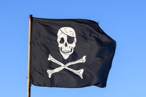 Мифическим отрядам приписывают пиратские флаги