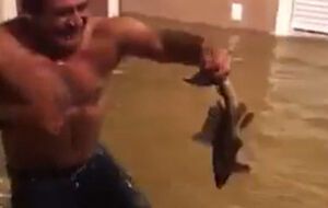 Мужчина сделал несколько попыток, чтобы поймать рыбу