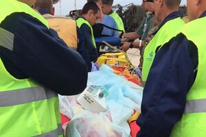 Волка доставили во Львов