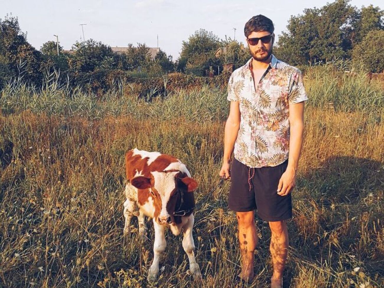 Нанн: Дуже радий, що моя улюблена донбаська корова не перетворилася на гуляш