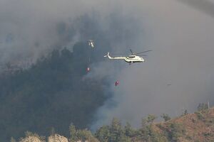 Горить ліс у двох регіонах Грузії