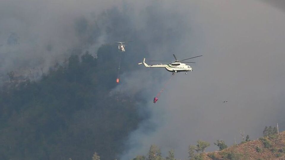 Горить ліс у двох регіонах Грузії
