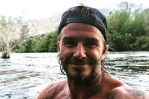 В соцсетях выразили недовольство публикациями Бекхэма