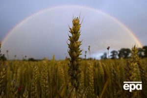 Вырос украинский сельскохозяйственный экспорт в ЕС