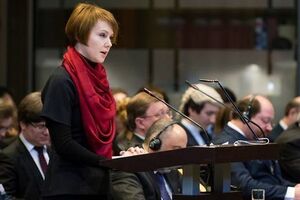 Зеркаль: Ми в цьому питанні "піонери"