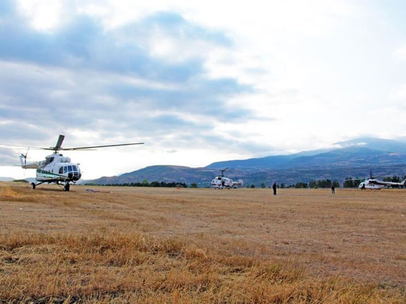 С помощью авиации удалось локализовать масштабный лесной пожар в Грузии