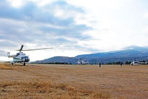 С помощью авиации удалось локализовать масштабный лесной пожар в Грузии