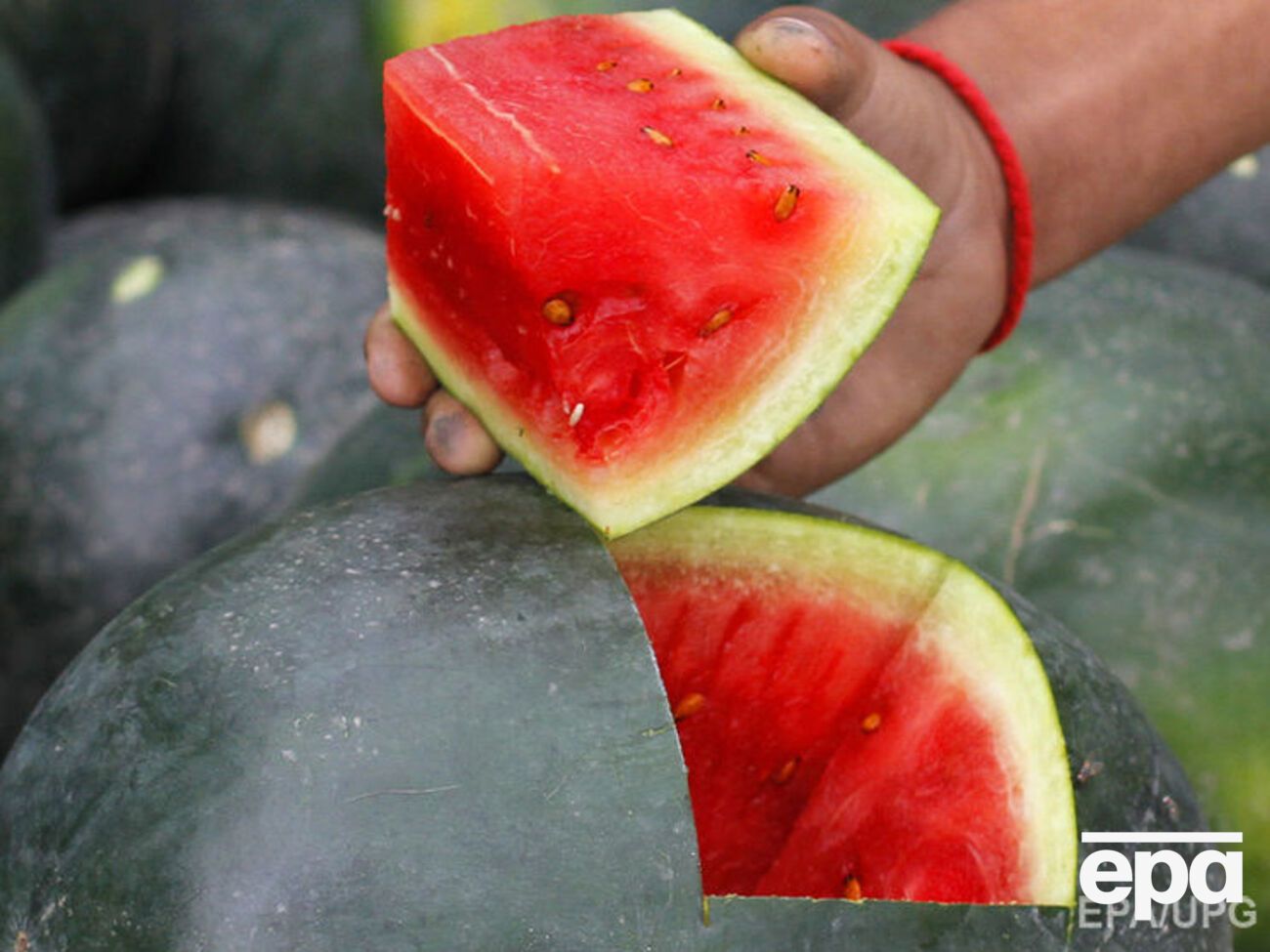 Содержание нитратов в арбузах&nbsp;&ndash; в пределах нормы