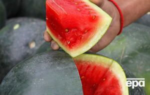Содержание нитратов в арбузах – в пределах нормы