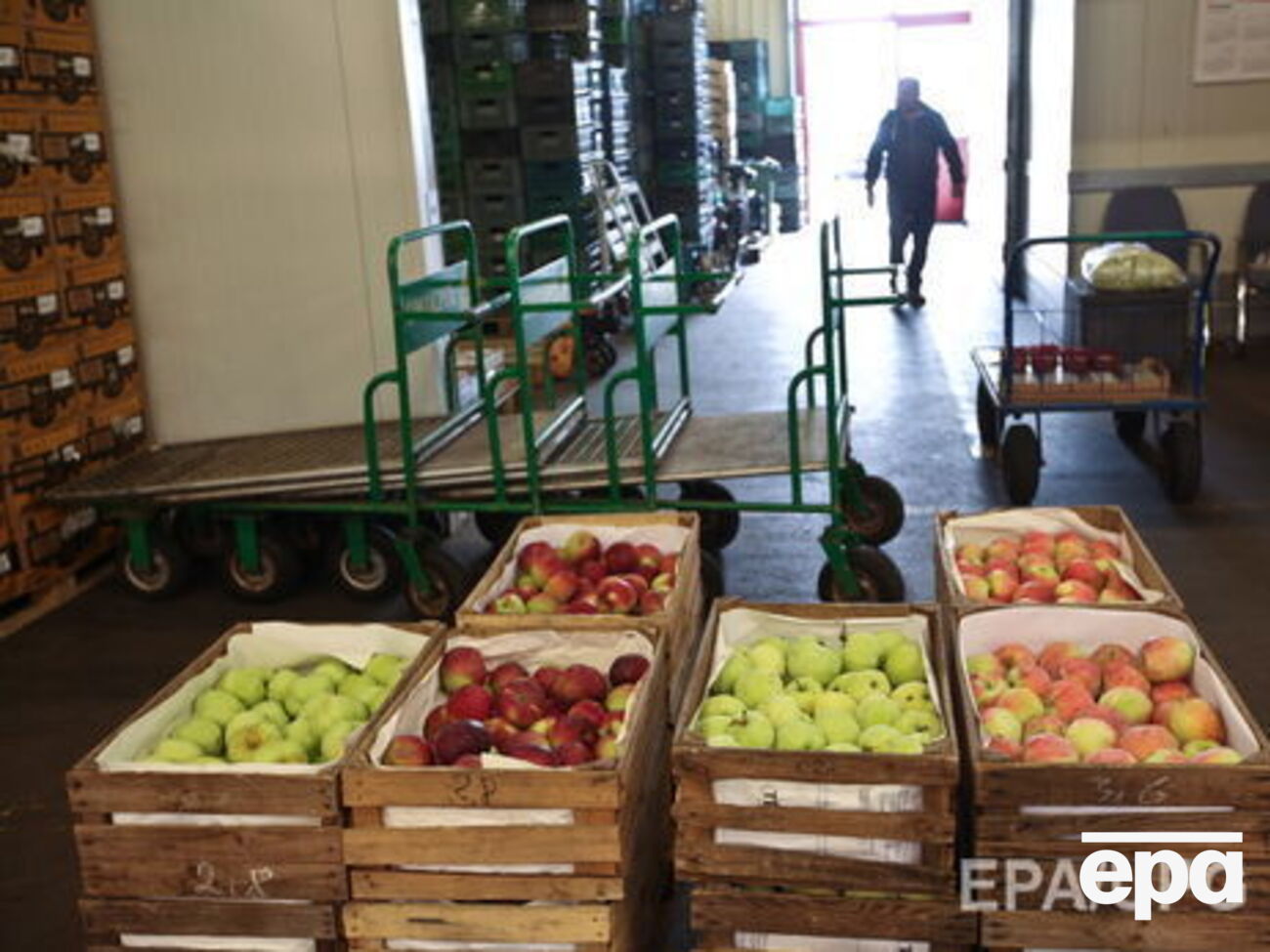 В РФ подсчитали количество уничтоженных продуктов
