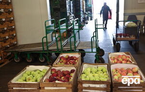У РФ підрахували кількість знищених продуктів