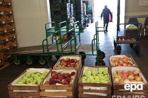 У РФ підрахували кількість знищених продуктів