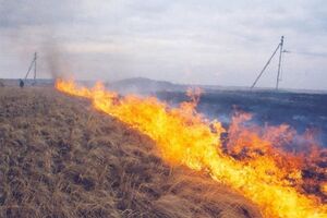 До 18.00 7 серпня пожежу загасили