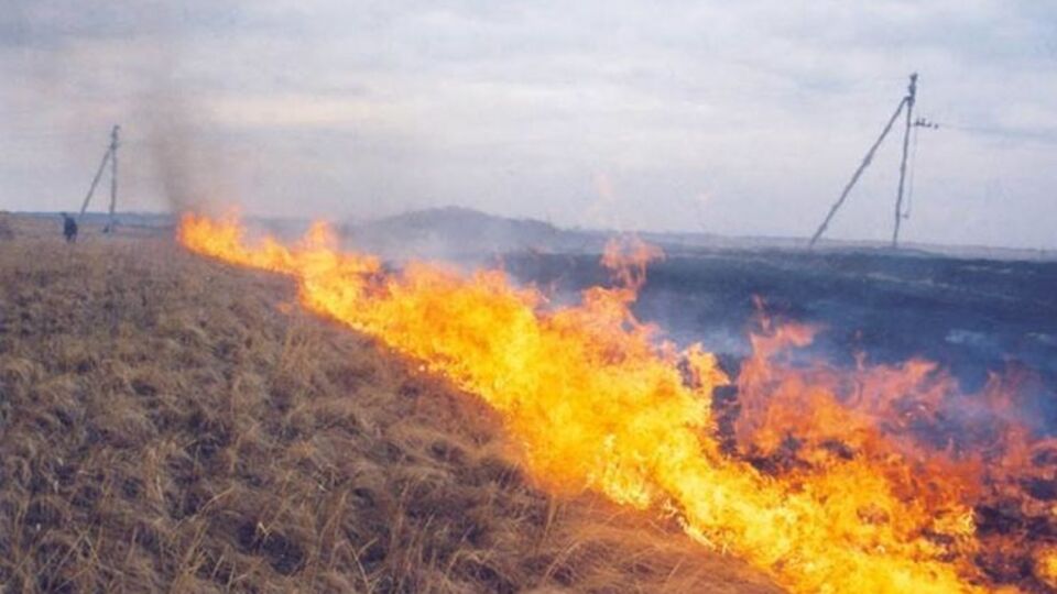 До 18.00 7 серпня пожежу загасили