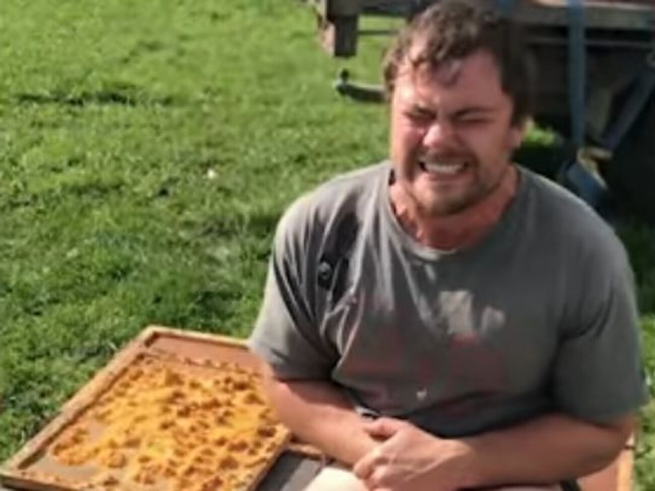 Мужчина сел на улей на спор