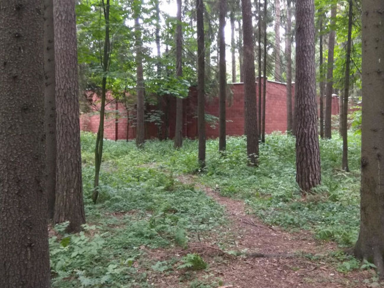 Паркан держдачі, на якій, імовірно, живе Віктор Янукович