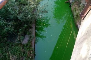 Вода в реке Лыбедь стала зеленой