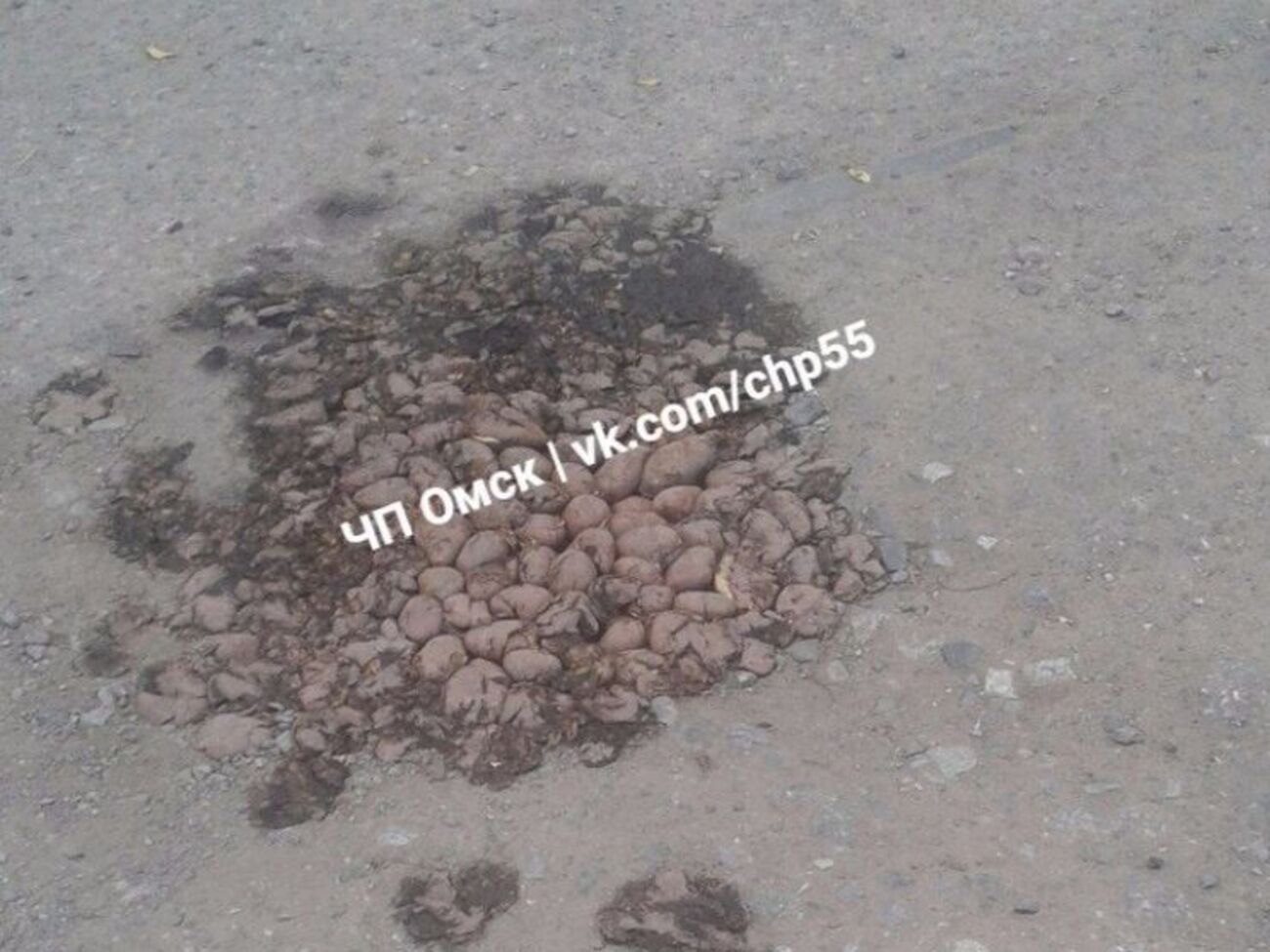 Дыру в дороге заделали картофелем