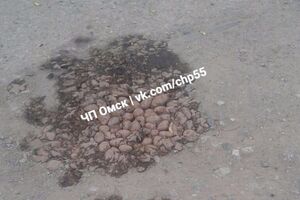 Дірку в дорозі заклали картоплею