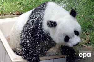 Басі народилася в 1980 році