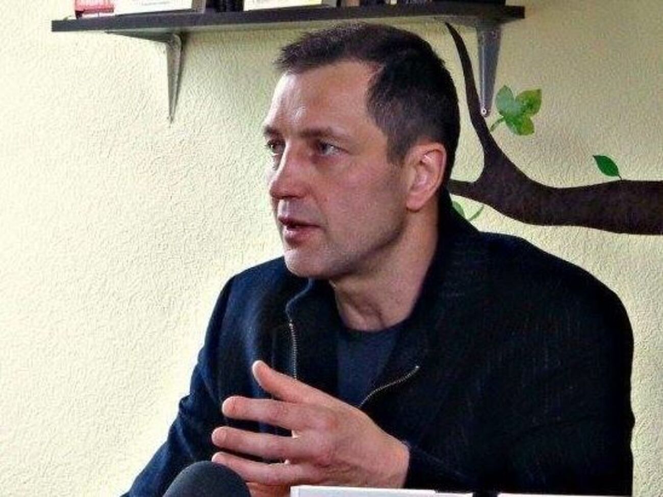 Бадрак: Миротворча місія має перебувати не тільки на лінії розмежування сторін, а на всій окупованій території