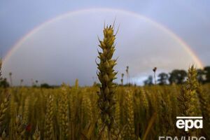 Спостерігають активне зростання експорту аграрної продукції