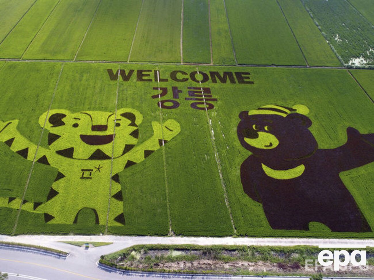 Антидопинговые агентства 28 стран заявляют, что российским спортсменам будут не рады в Пхенчхане