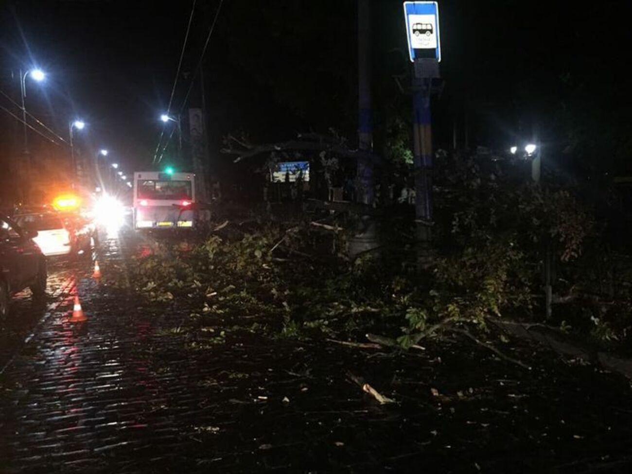 Проїзд вулицею Галицький Шлях було заблоковано через повалені дерева
