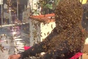 Ортіс зміг усидіти з роєм бджіл на обличчі, незважаючи на кілька укусів комах