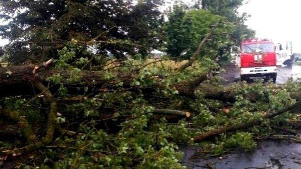 Найбільше від буревію 17 вересня постраждали Рахівський і Тячівський райони Закарпатської області