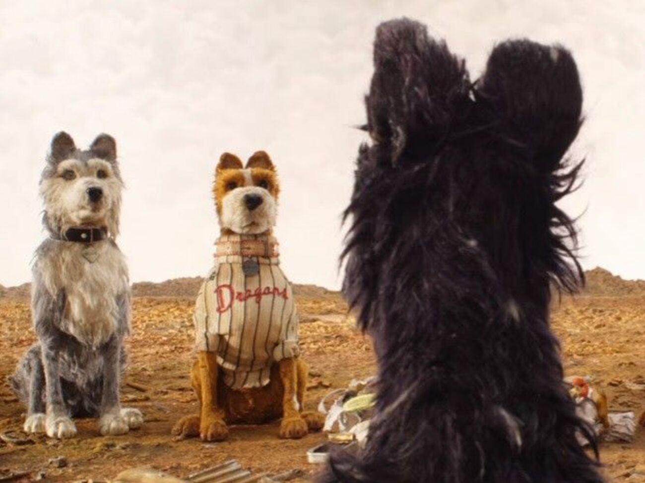 Герої картини &ndash; собаки, які опинилися на острові