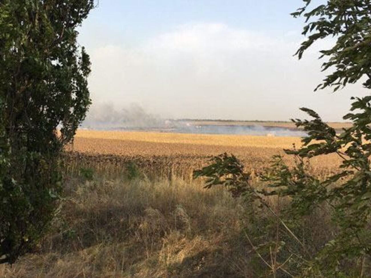 Міноборони: Пожежа перекинулася на військовий об'єкт із сільхозполів