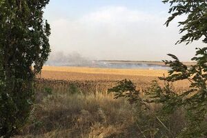 Минобороны: Пожар перекинулся на военный объект с сельхозполей