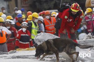 Поиски пострадавших под завалами разрушенных зданий продолжаются