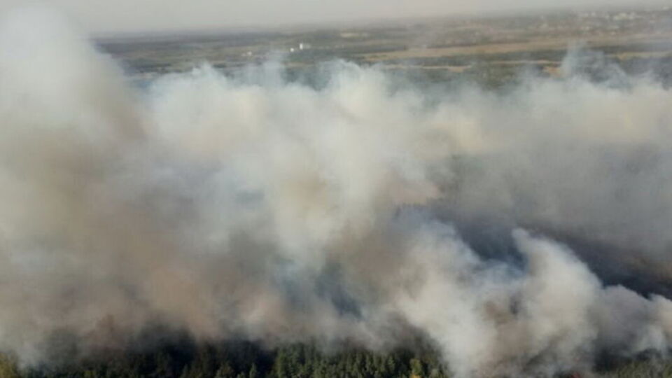 Горели леса в Харьковской, Полтавской и Черкасской областях