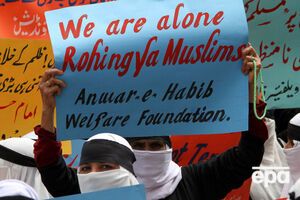 Власти Мьянмы заявляют, что не проводят этнических чисток в отношении мусульман-рохинджа