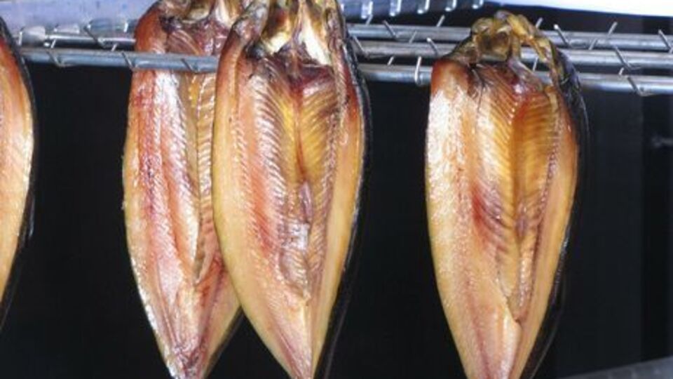 Рибу вилучили, а зразки відправили на експертизу