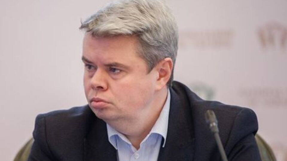 Сологуб допускает ускорение притока иностранных инвестиций