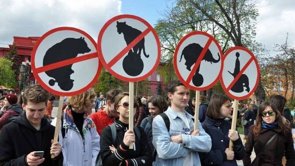 У Києві учасники маршу зберуться в парку імені Тараса Шевченка