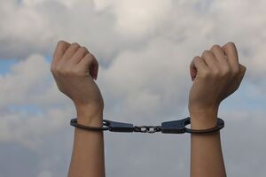 Женщину и ее мужа задержали полицейские