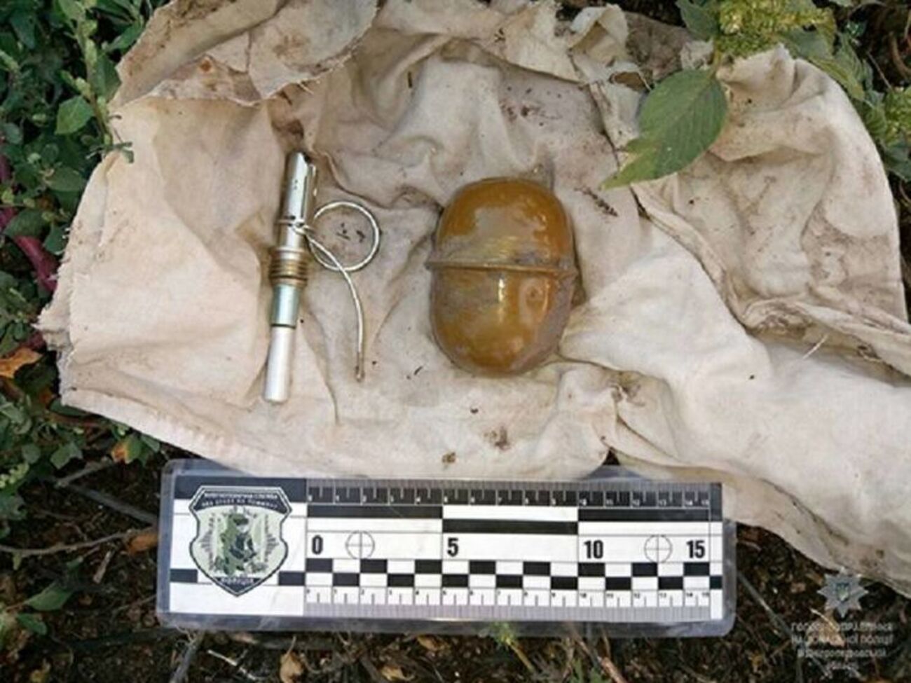 Граната, вилучена біля будинку Берези