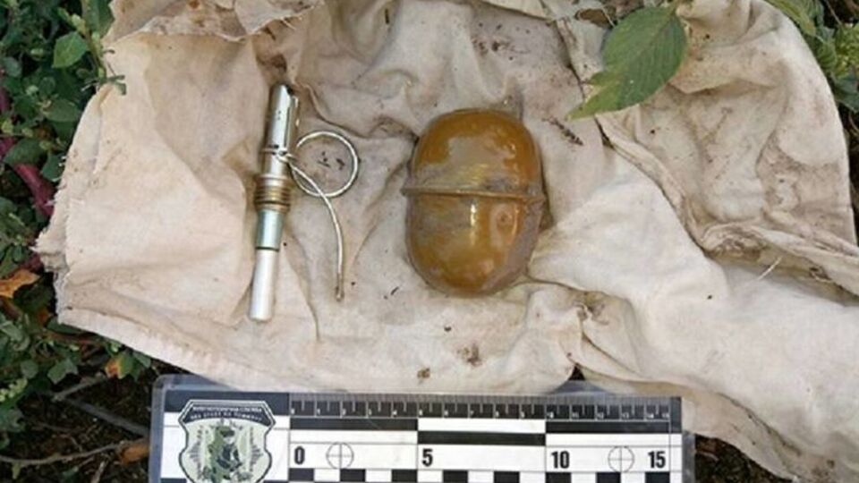 Граната, изъятая у дома Березы