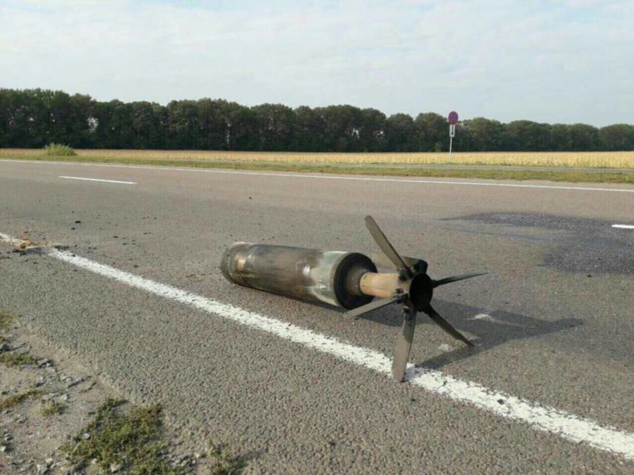 Министр обороны и глава Генштаба должны добровольно подать в отставку после взрывов в Калиновке