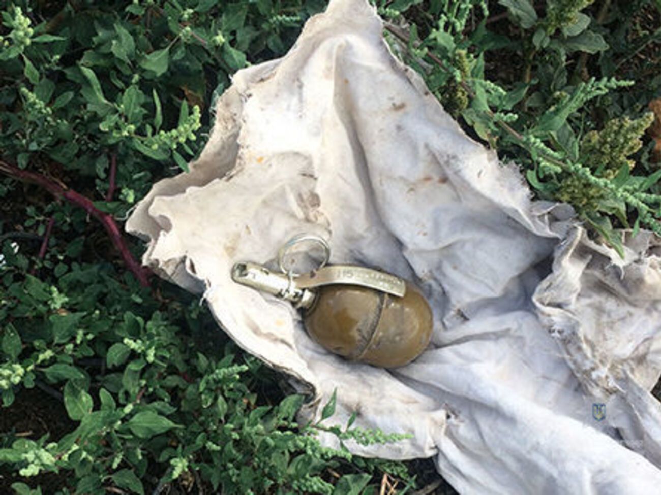 У затриманого вилучили гранату РГД-5