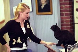 Сабрине предстоит решить, становиться ведьмой или выбрать обычную жизнь смертной