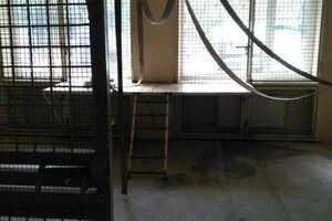 На сотрудника зоопарка напали обезьяны