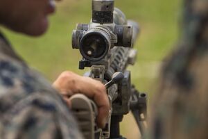 ФСБ: Із незаконного обігу вилучено 181 одиницю вогнепальної зброї