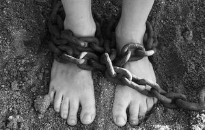 Семью из трех человек насильно заставляли работать в одесском домохозяйстве