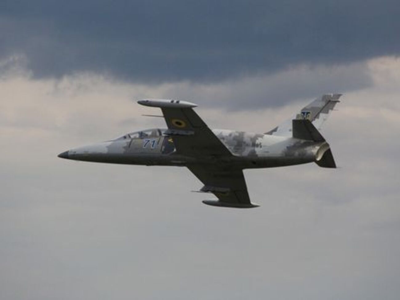 Самолет упал под Хмельницком