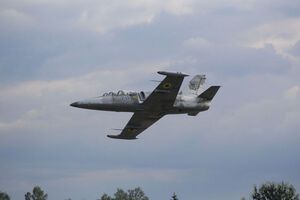 Сьогодні під Хмельницьким упав літак